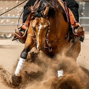 Meet your Posher, Christie